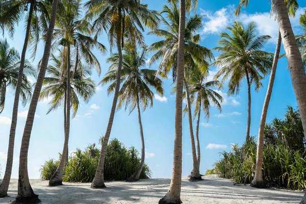 Quels sont les secrets pour une randonnée réussie dans les montagnes de l'Adirondack, USA : équipements et itinéraires ?